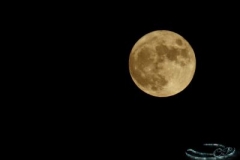 volle maan 2018