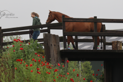 Iris & Sjaak